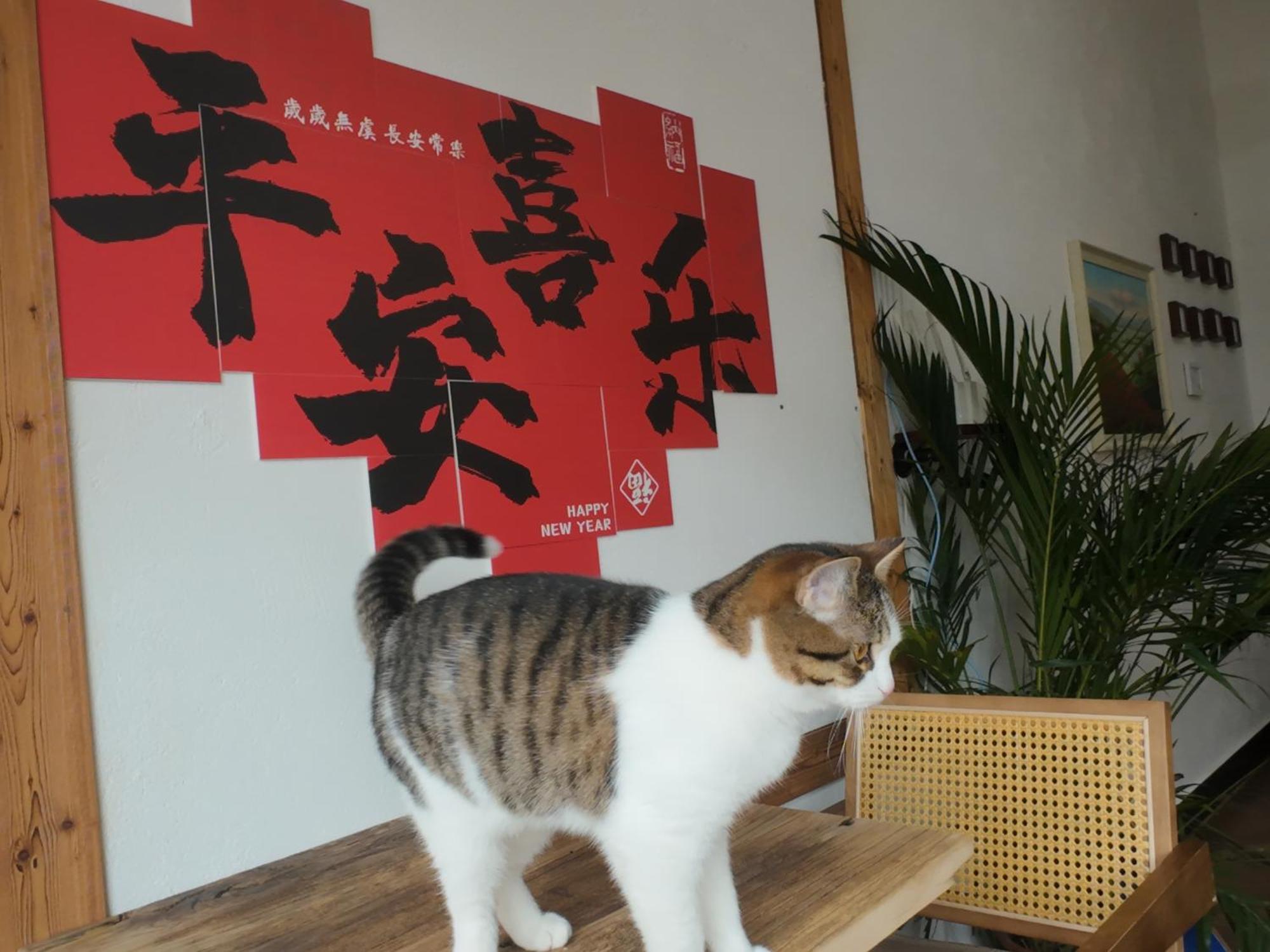 ヤンシュオ オータム イン 陽朔 エクステリア 写真