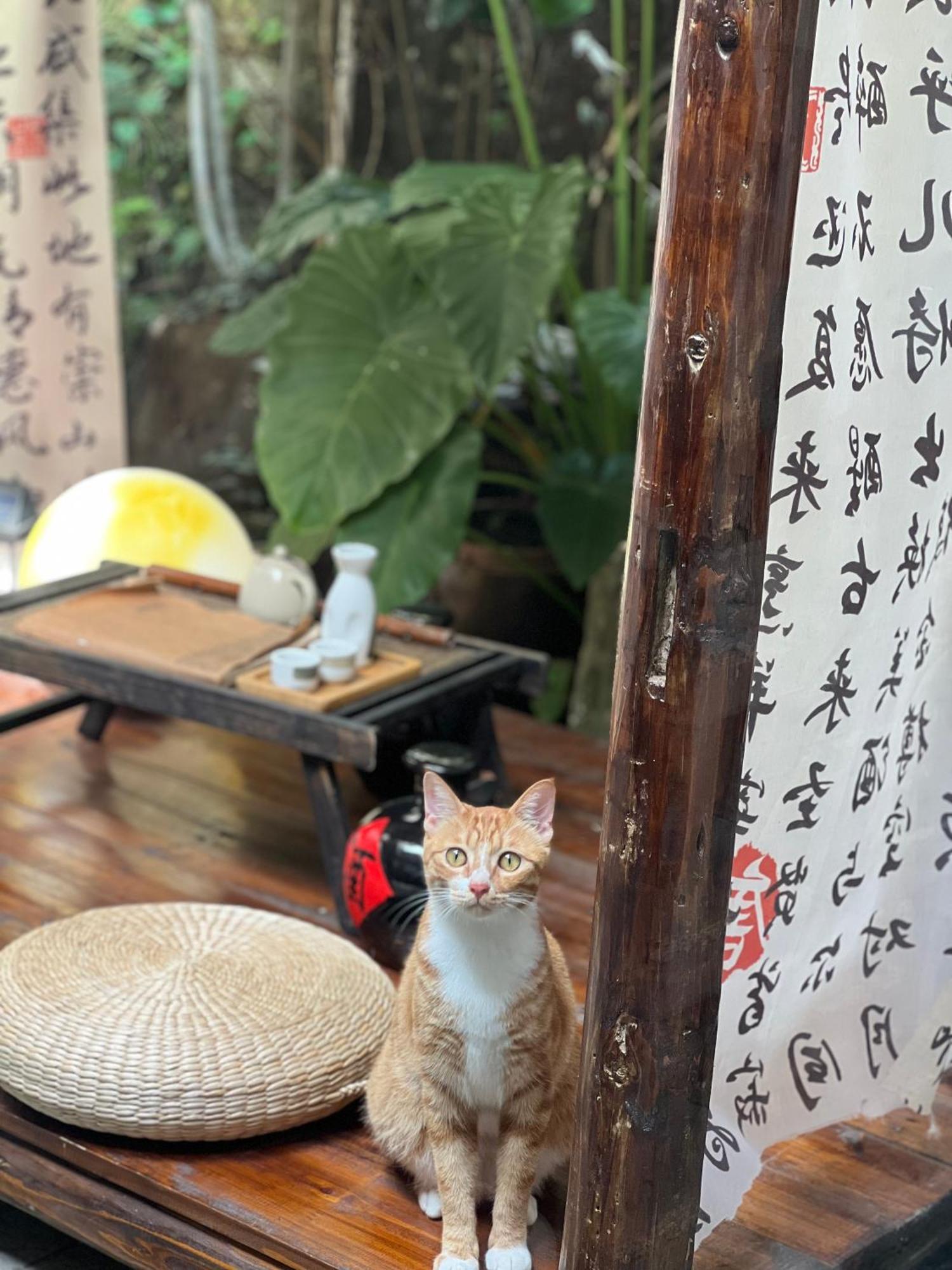 ヤンシュオ オータム イン 陽朔 エクステリア 写真
