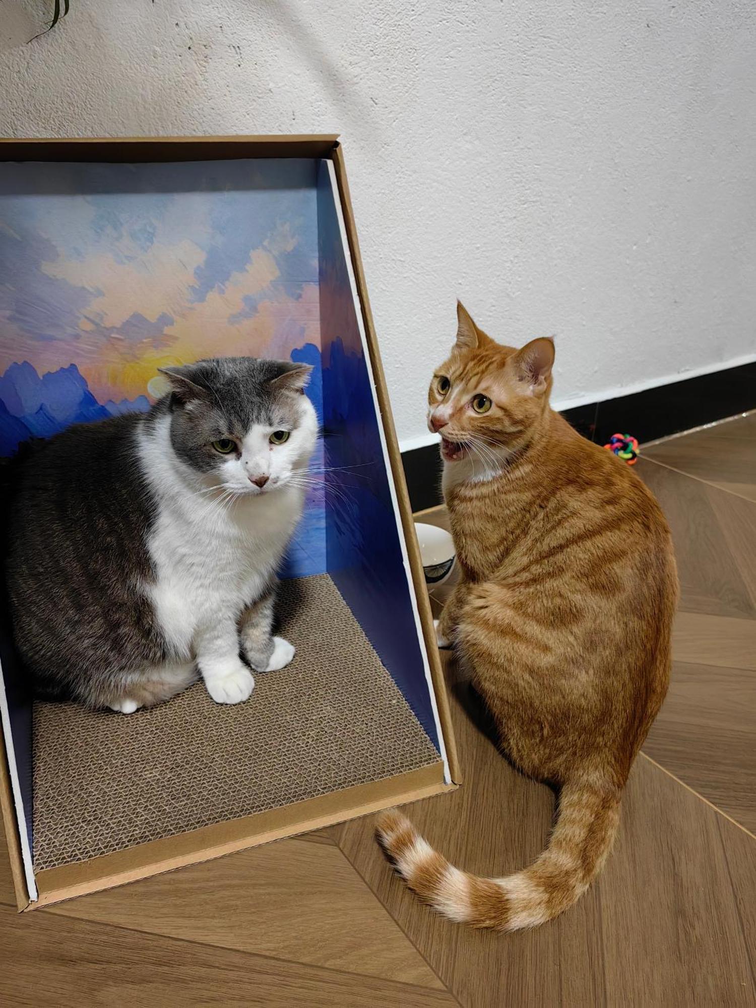 ヤンシュオ オータム イン 陽朔 エクステリア 写真
