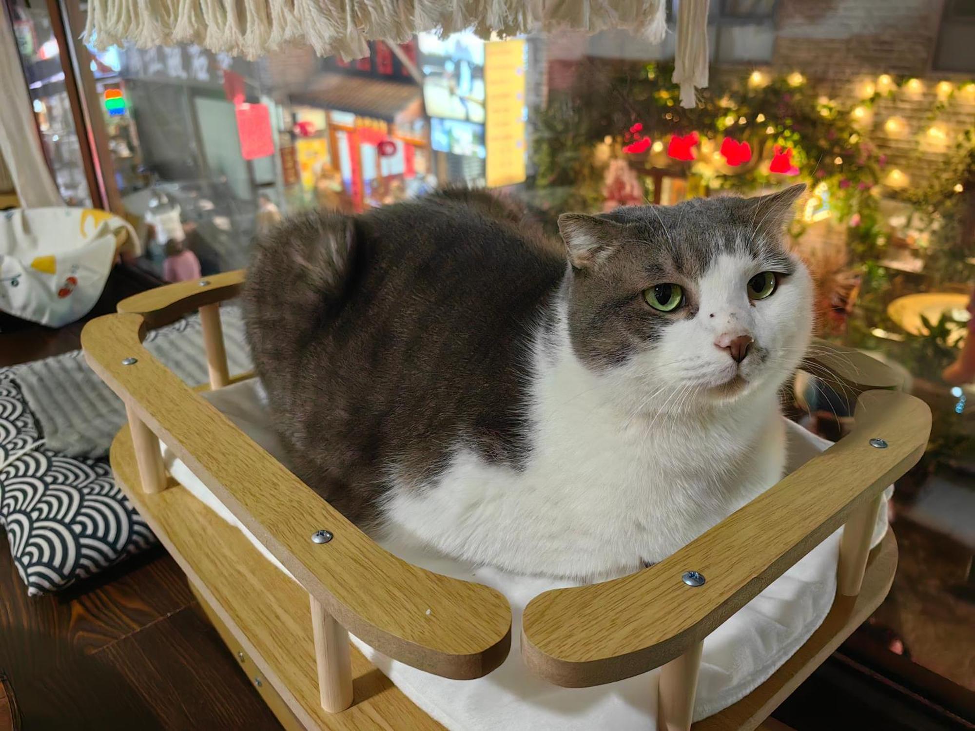 ヤンシュオ オータム イン 陽朔 エクステリア 写真