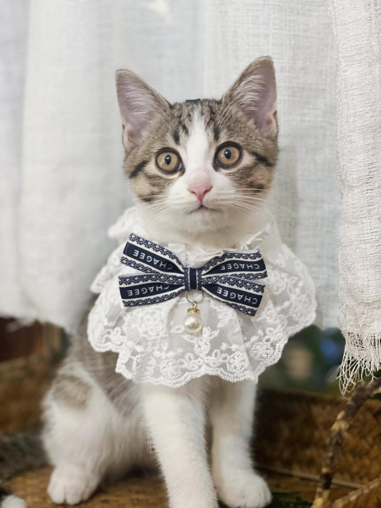 ヤンシュオ オータム イン 陽朔 エクステリア 写真